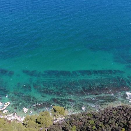 Amare Sirolo Bed & Breakfast Dış mekan fotoğraf
